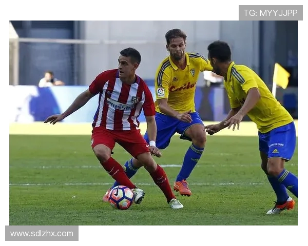 j西甲直播频道赛事安排及用户活跃度调查