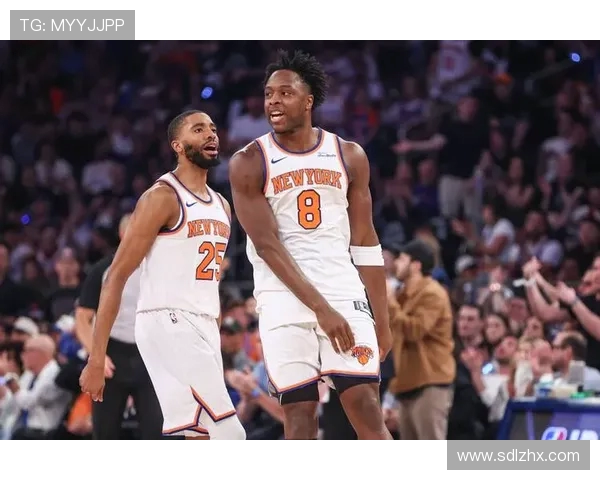 NBA湖人队当前赛季战况与球队分析