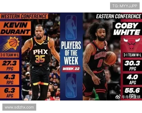 NBA裁判报告制度与争议判罚解析