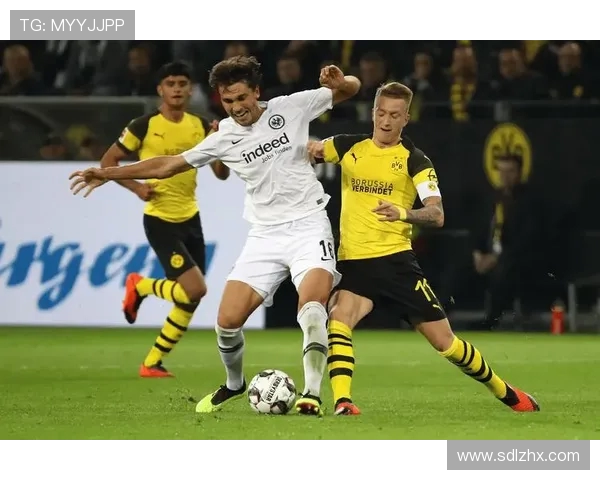 德甲新赛季球队之间的关系与潜在矛盾分析