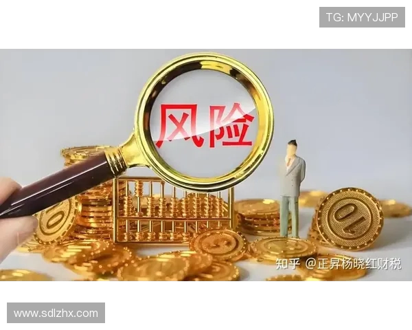 法甲球队资金运作模式及财务风险管理分析